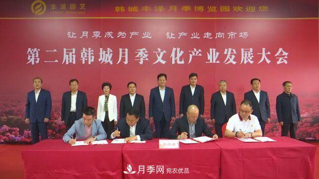 陜西韓城第二屆月季文化產(chǎn)業(yè)發(fā)展大會(huì )盛大開(kāi)幕(圖1)