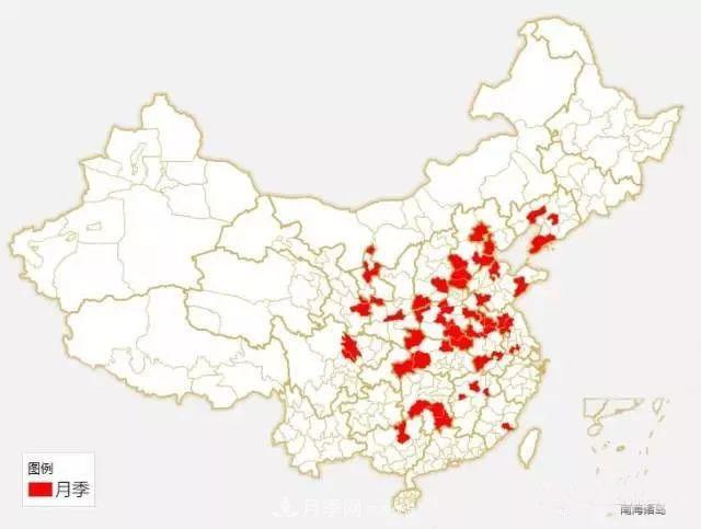 中國各城市市花大集合！月季是51個(gè)城市市花具首位(圖1)