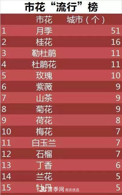 中國各城市市花大集合！月季是51個(gè)城市市花具首位(圖3)