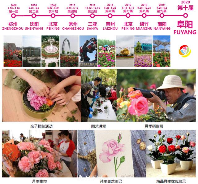 安徽阜陽(yáng)高效推進(jìn)第十屆中國月季展籌備工作(圖1)