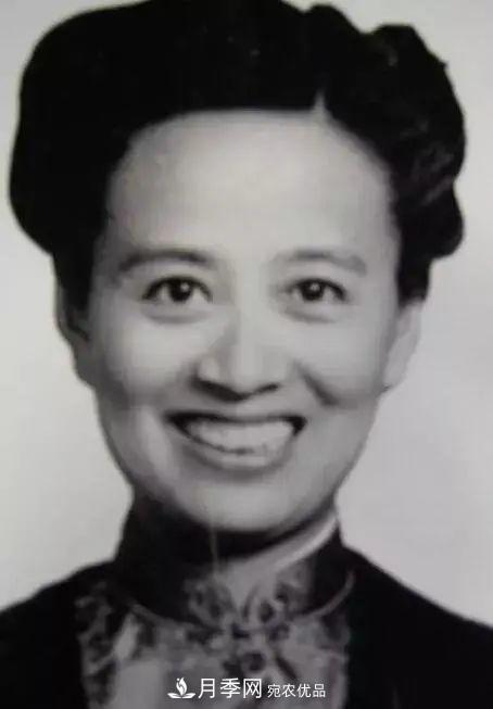 月季夫人蔣恩鈿，是她把月季花種到了人民大會(huì )堂(圖2)
