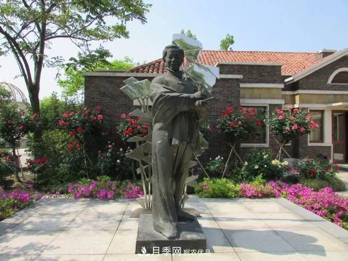 月季夫人蔣恩鈿，是她把月季花種到了人民大會(huì )堂(圖7)
