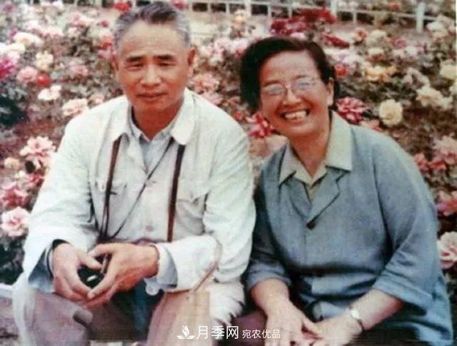 月季夫人蔣恩鈿，是她把月季花種到了人民大會(huì )堂(圖5)
