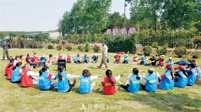 用臥龍月季花海裝扮 把襄陽(yáng)變得更美(圖6)