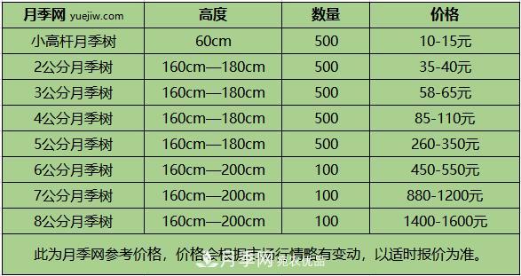 南陽(yáng)樹(shù)狀月季價(jià)格差別這么大，樹(shù)狀月季的價(jià)格受什么因素影響？(圖2)