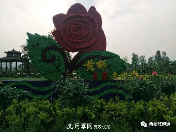 賞月季 南陽(yáng)西峽縣黃獅月季文化園更讓人流連忘返(圖1)