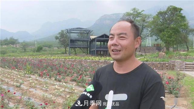 河南安陽(yáng)林州：到這里來(lái)看月季花海(圖5)