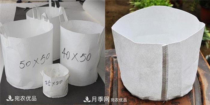 南陽(yáng)月季苗木花卉美植袋植樹(shù)袋廠(chǎng)家批發(fā)價(jià)(圖3)