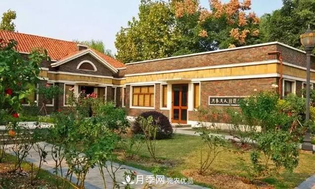 她潛心研究月季，帶領(lǐng)中國月季走向世界，被稱(chēng)為“月季夫人”(圖3)