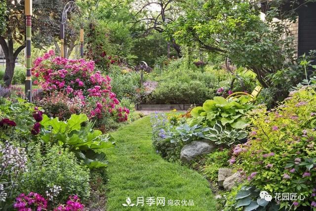 八月月季花卉養護，園丁的打理事宜(圖1)