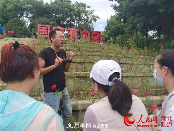 “月季專(zhuān)家”來(lái)武漢授課 助力月季攜手紫薇迎國慶(圖1)