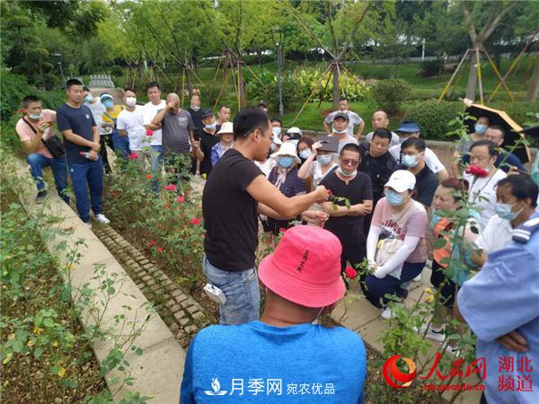 “月季專(zhuān)家”來(lái)武漢授課 助力月季攜手紫薇迎國慶(圖2)