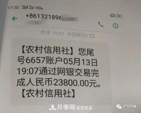 南陽(yáng)西峽苗木人：蹊蹺的賣(mài)樹(shù)款(圖1)