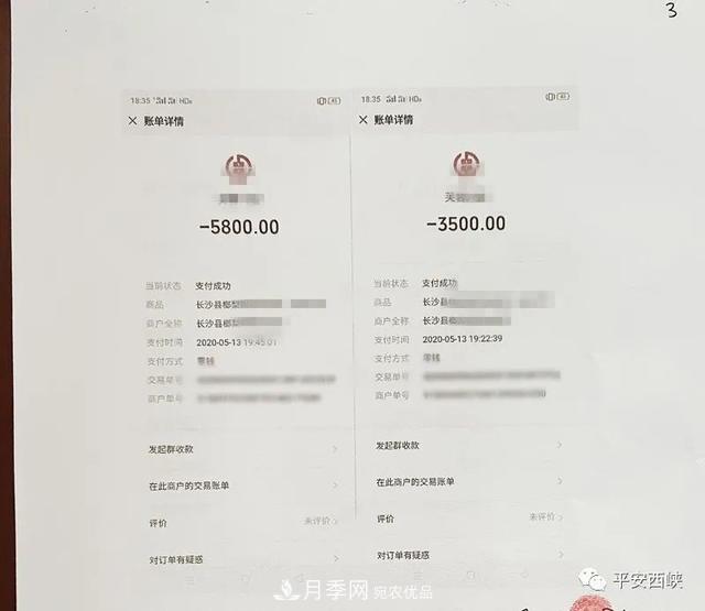南陽(yáng)西峽苗木人：蹊蹺的賣(mài)樹(shù)款(圖3)