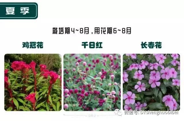 苗木必備基本常識手冊(圖20)