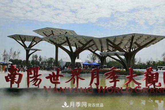 南陽(yáng)世界月季大觀(guān)園：只愛(ài)園中月季美，不羨他鄉百花艷(圖1)