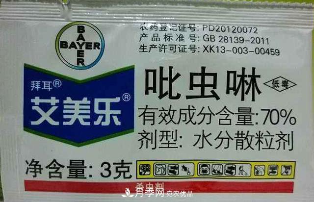 月季的常備藥品有哪些？收好了！(圖4)