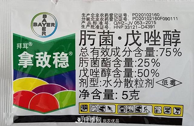 月季的常備藥品有哪些？收好了！(圖5)