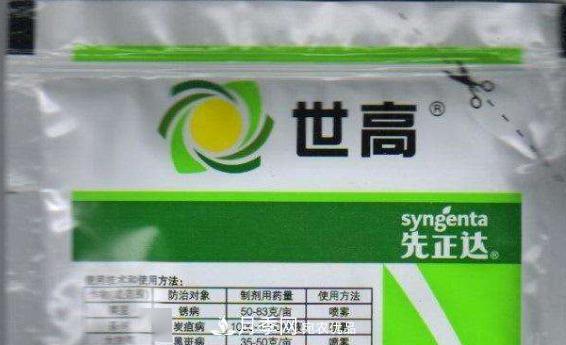 月季的常備藥品有哪些？收好了！(圖6)