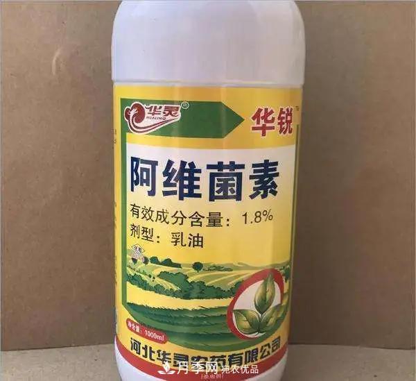 月季的常備藥品有哪些？收好了！(圖9)