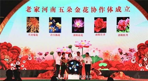 “老家河南·五朵金花”究竟是誰(shuí)？南陽(yáng)月季榜上有名(圖1)