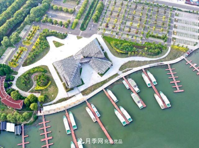 蘇洲金雞湖畔！大美月季花海！(圖21)