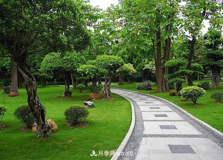破解苗木行業(yè)需求的發(fā)展變化，弄懂才能賺錢(qián)?！(圖1)