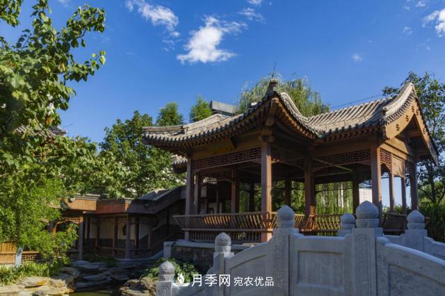 今夏到北京豐臺，看亭臺樓閣，賞各色月季(圖4)
