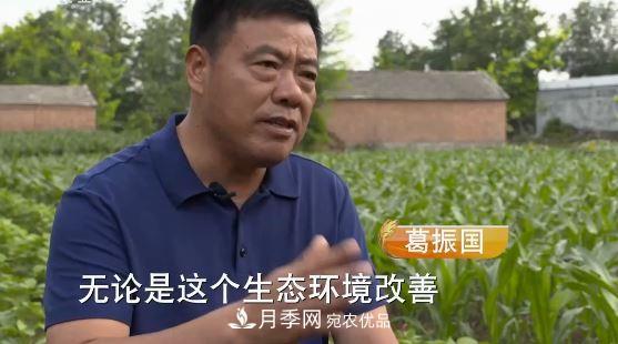 河南商丘男子種苗木，半年營(yíng)業(yè)額達3000萬(wàn)(圖3)
