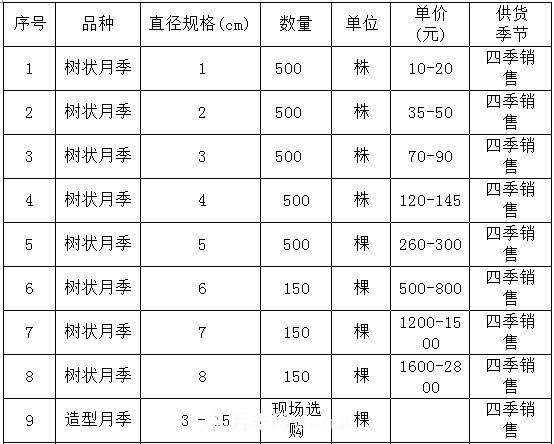 安徽樹(shù)狀月季的價(jià)格？樹(shù)狀月季各規格多少錢(qián)一棵？(圖4)