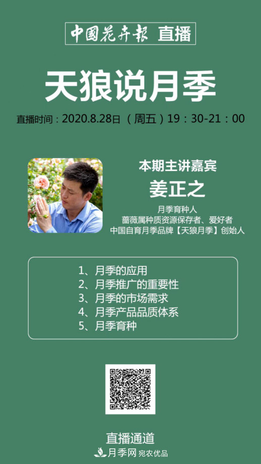 「直播預告」聽(tīng)天狼細說(shuō)月季的現在與未來(lái)(圖13)