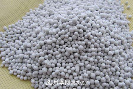 養護月季花施肥施什么肥料？(圖1)