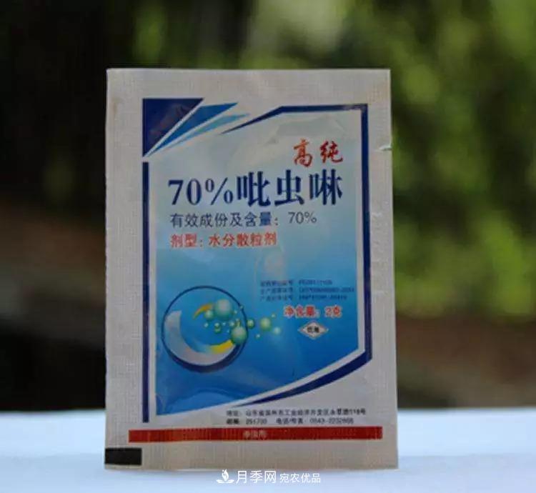 春天月季養護的“四句真言”，預防病蟲(chóng)害，不愁沒(méi)花看！(圖3)