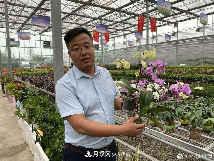 甘肅山里的鮮花基地，讓農民顧家掙錢(qián)兩不誤(圖1)