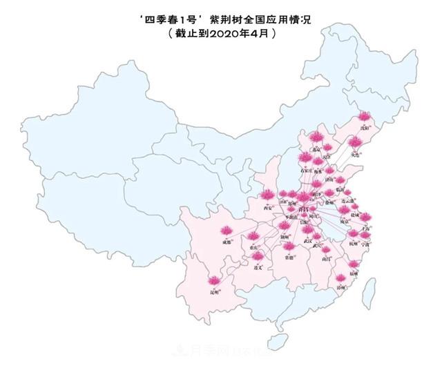 苗木產(chǎn)品的價(jià)格、價(jià)值和供需——三角關(guān)系之動(dòng)態(tài)平衡(圖6)