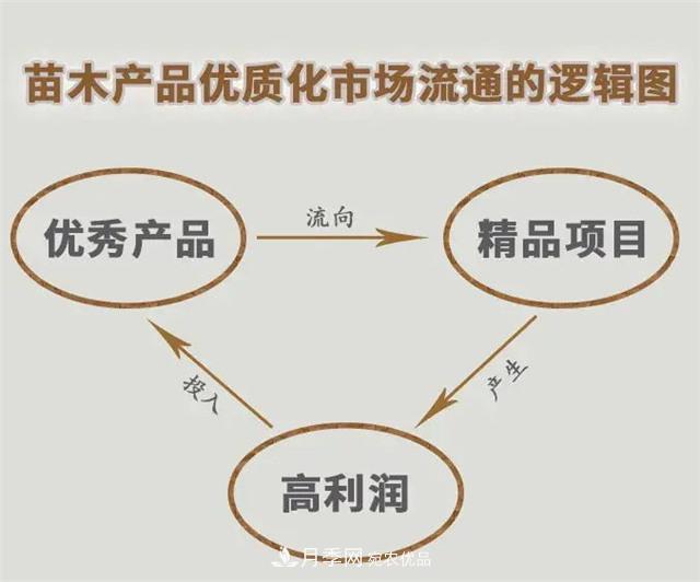 苗木產(chǎn)品的價(jià)格、價(jià)值和供需——三角關(guān)系之動(dòng)態(tài)平衡(圖5)