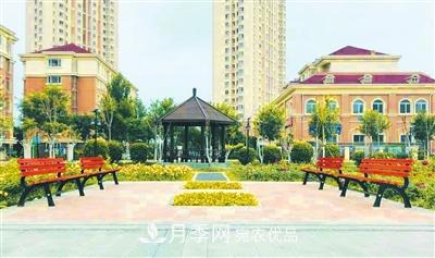 天津市西青區“赤龍月季園”建成開(kāi)放(圖3)