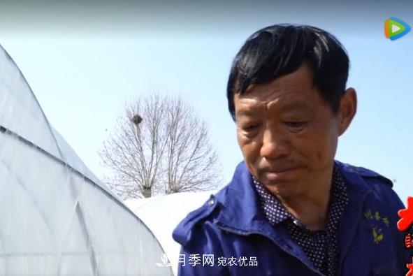 門(mén)外漢變成月季大師——南陽(yáng)市世源實(shí)業(yè)有限公司技術(shù)總監王懷青(圖1)