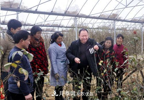 走近南陽(yáng)月季大師李付昌——月季花海弄潮兒(圖1)