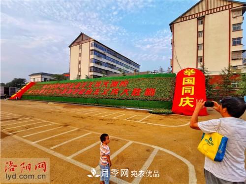 喜迎國慶 160萬(wàn)盆花草扮靚洛陽(yáng)(圖4)