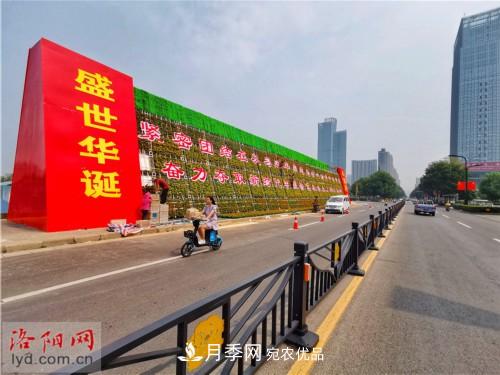 喜迎國慶 160萬(wàn)盆花草扮靚洛陽(yáng)(圖5)