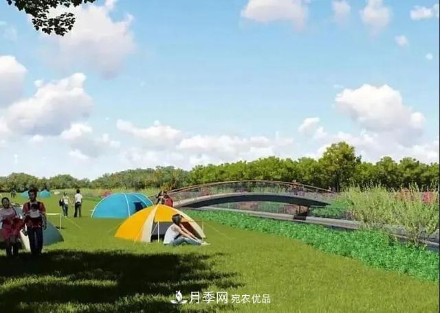 上海松江10萬(wàn)平方米月季小鎮9月底完工，十一等你來(lái)打卡(圖5)