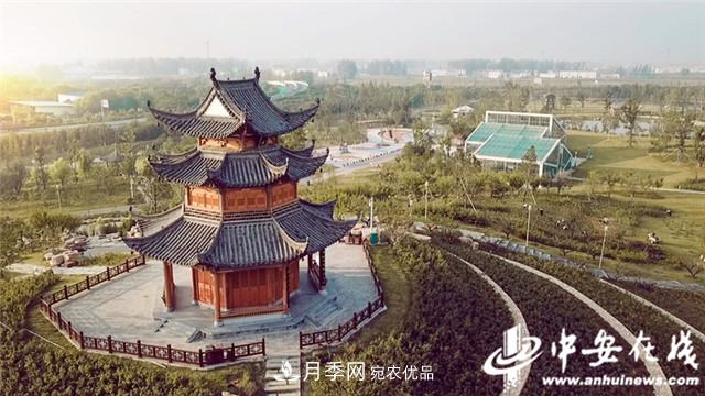 探訪(fǎng)第十屆中國月季展覽會(huì ) 2000多種月季花月底綻放(圖3)