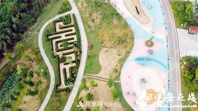 探訪(fǎng)第十屆中國月季展覽會(huì ) 2000多種月季花月底綻放(圖5)
