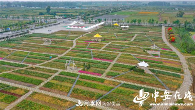 探訪(fǎng)第十屆中國月季展覽會(huì ) 2000多種月季花月底綻放(圖7)