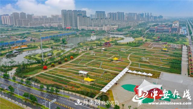 探訪(fǎng)第十屆中國月季展覽會(huì ) 2000多種月季花月底綻放(圖2)