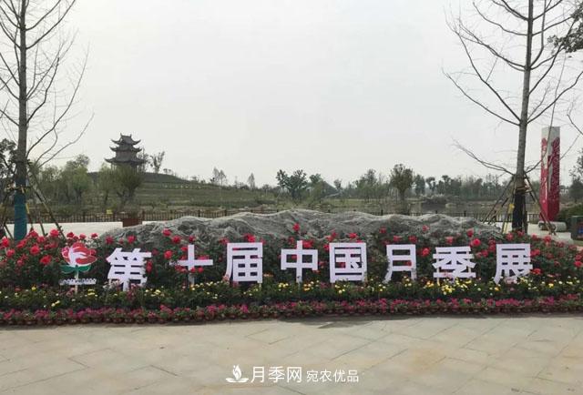第十屆中國月季展覽會(huì )，南陽(yáng)園和鄭州園亮相(圖1)