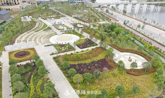 南陽(yáng)月季：唐河縣圓滿(mǎn)完成月季“三個(gè)一”工程建設任務(wù)(圖2)