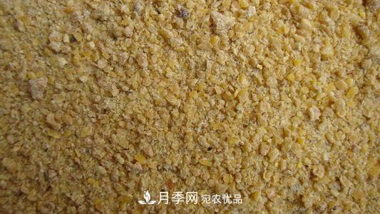 9月又到換盆時(shí)，盆里加點(diǎn)“特殊料”，怎么養都爆盆(圖2)