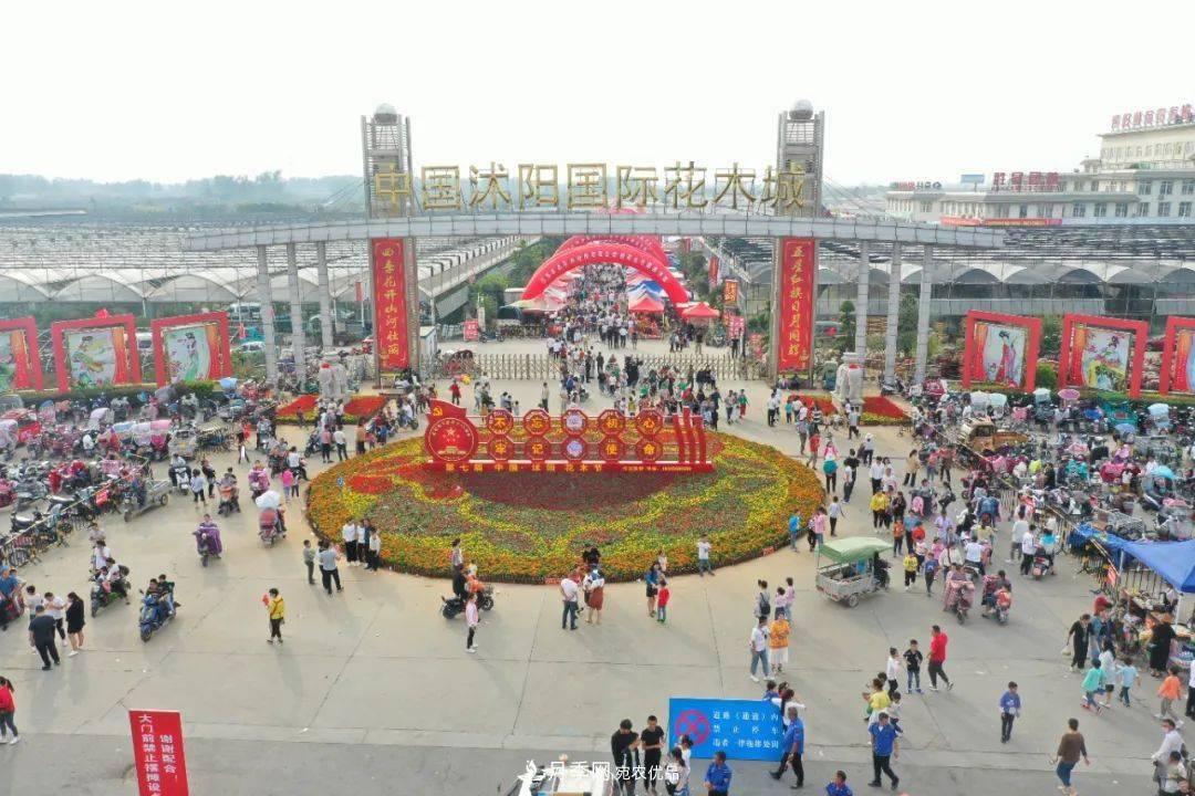花木盛會(huì )，2020第八屆中國?沭陽(yáng)花木節將于9月29日開(kāi)幕！誠邀您大駕光臨！(圖2)